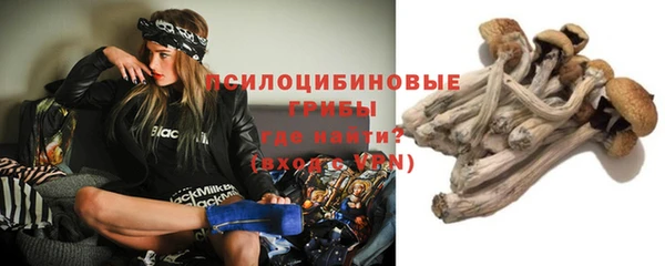 шишки Верхний Тагил