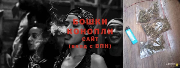 шишки Верхний Тагил