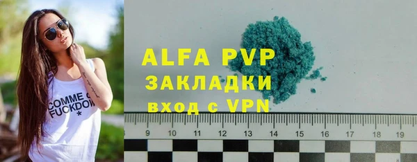 шишки Верхний Тагил