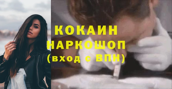 шишки Верхний Тагил