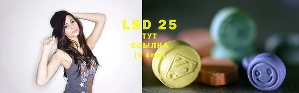 шишки Верхний Тагил