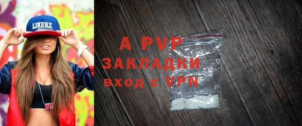 шишки Верхний Тагил