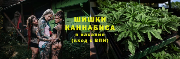 шишки Верхний Тагил