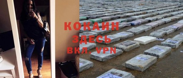шишки Верхний Тагил