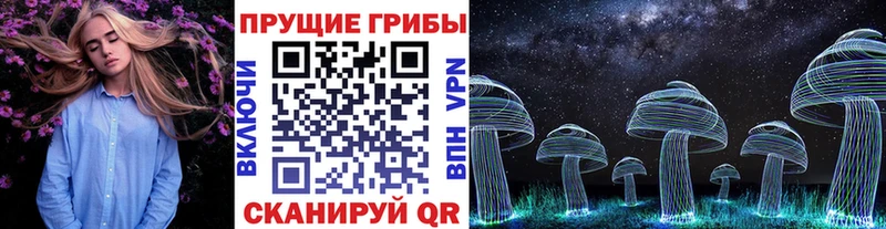 Псилоцибиновые грибы Cubensis  магазин  наркотиков  Славянск-на-Кубани 