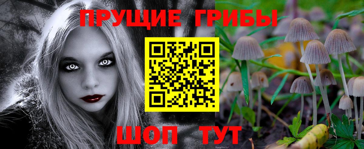 Галлюциногенные грибы ЛСД  Вход с VPN  Славянск-на-Кубани  Псилоцибиновые грибы Psilocybe 